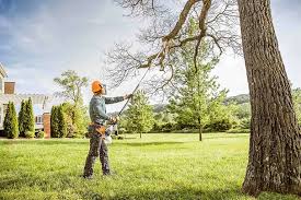 Best Residential Tree Removal  in Robinhood, MS